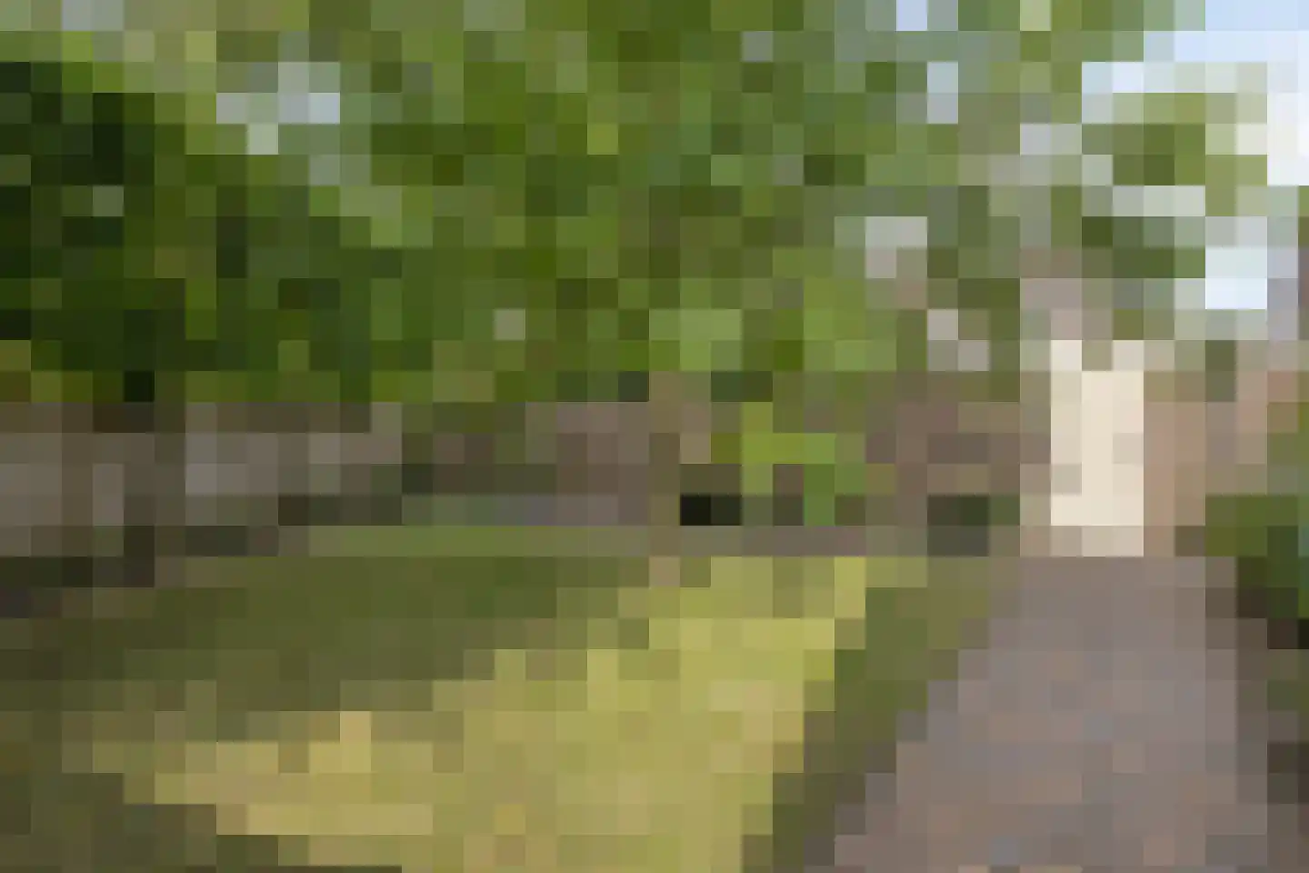 Commissaris De Quaylaan 51 's-Hertogenbosch thumbnail 15