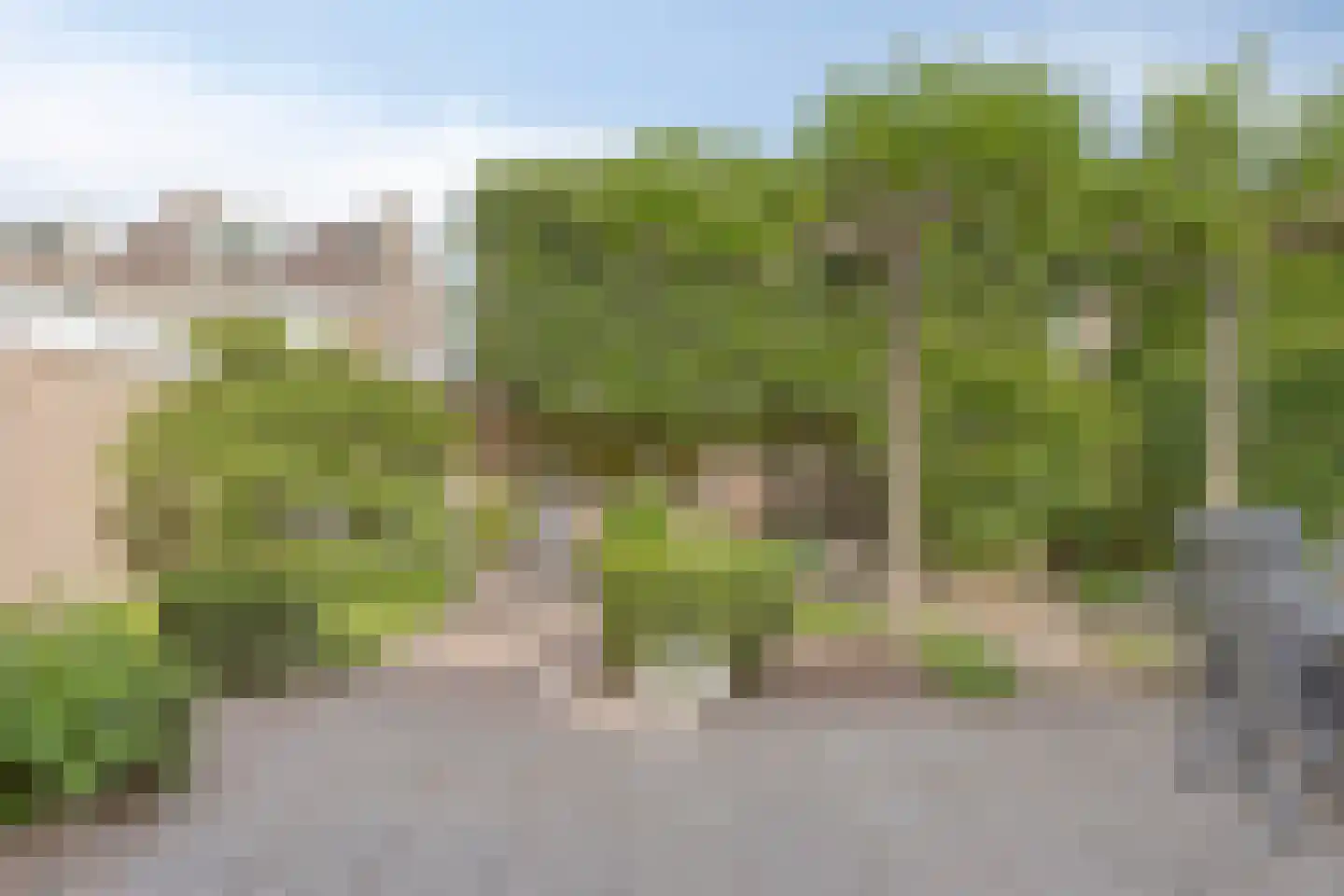 Commissaris De Quaylaan 51 's-Hertogenbosch thumbnail 17