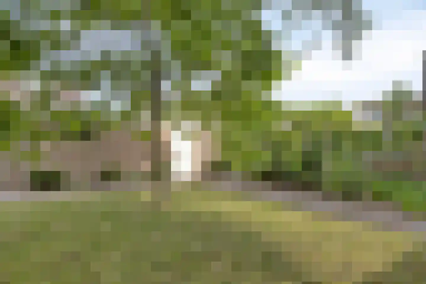 Commissaris De Quaylaan 51 's-Hertogenbosch thumbnail 4