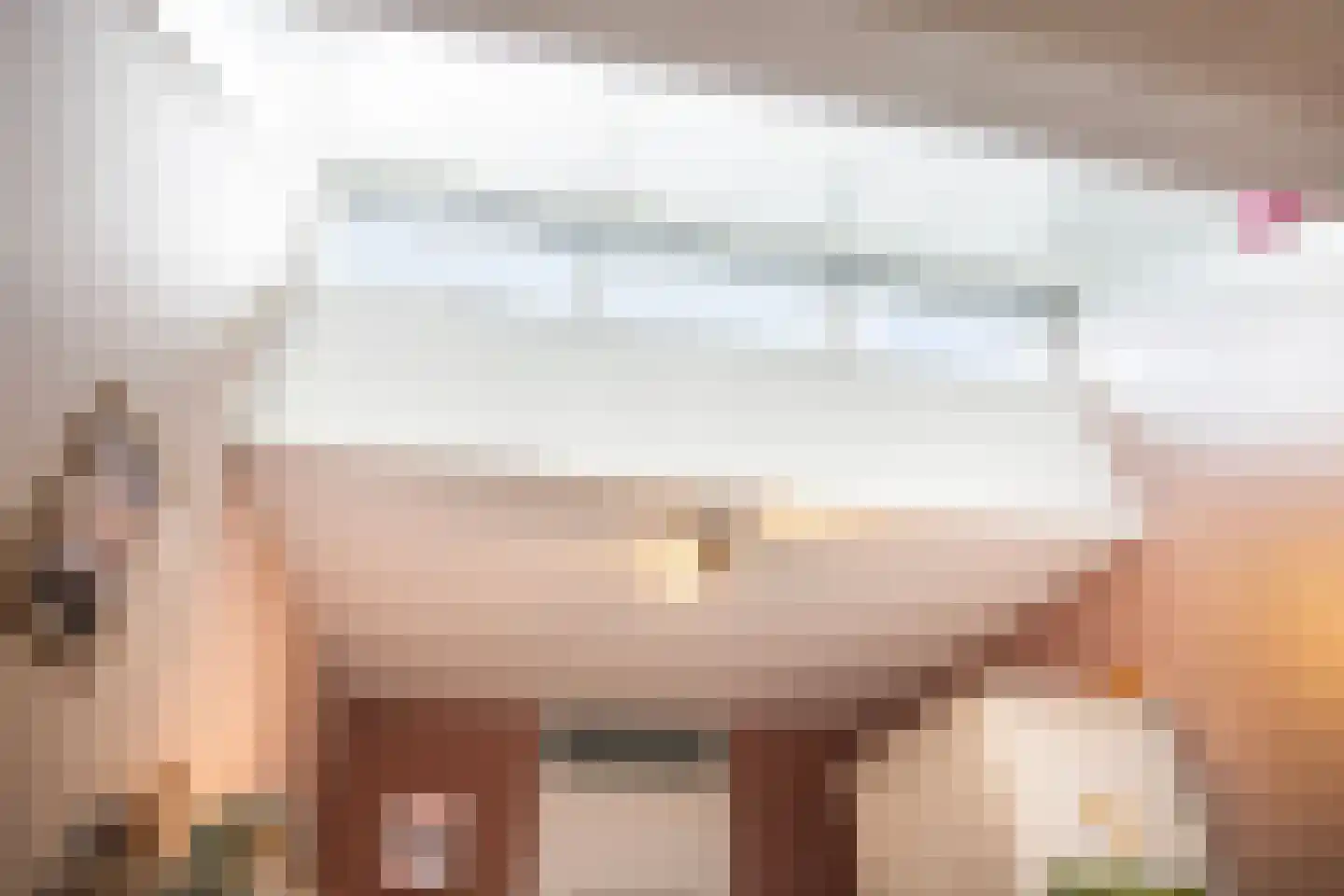 Commissaris van der Hartenlaan 12 's-Hertogenbosch thumbnail 21