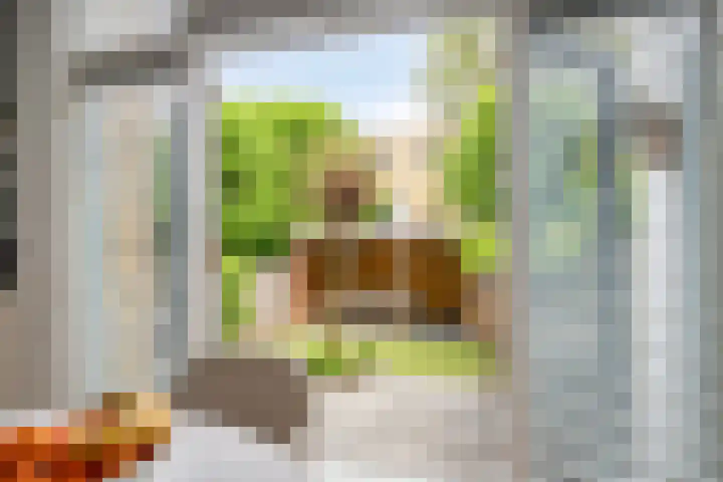 Commissaris van der Hartenlaan 12 's-Hertogenbosch thumbnail 27