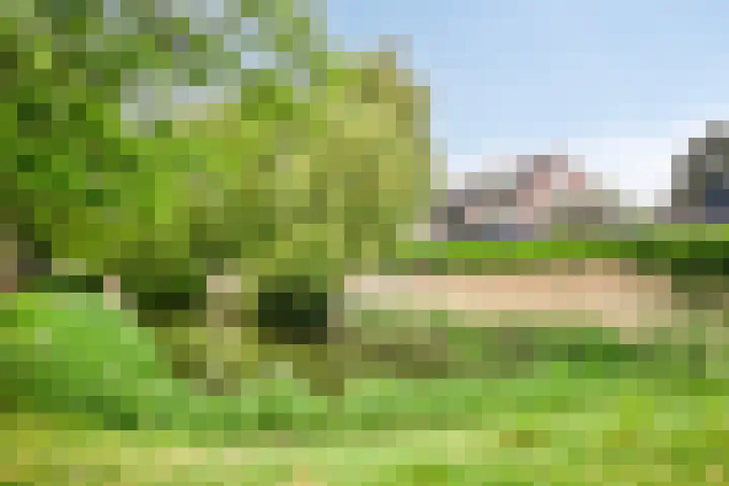 Commissaris van der Hartenlaan 12 's-Hertogenbosch thumbnail 38
