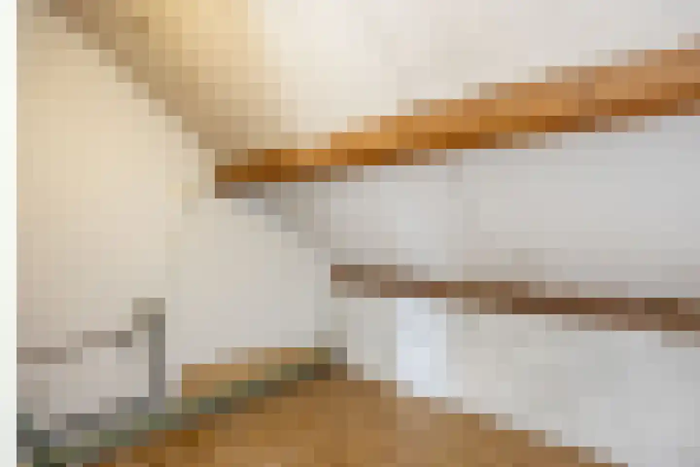 Commissaris Van Voorst tot Voorstlaan 10 's-Hertogenbosch thumbnail 30