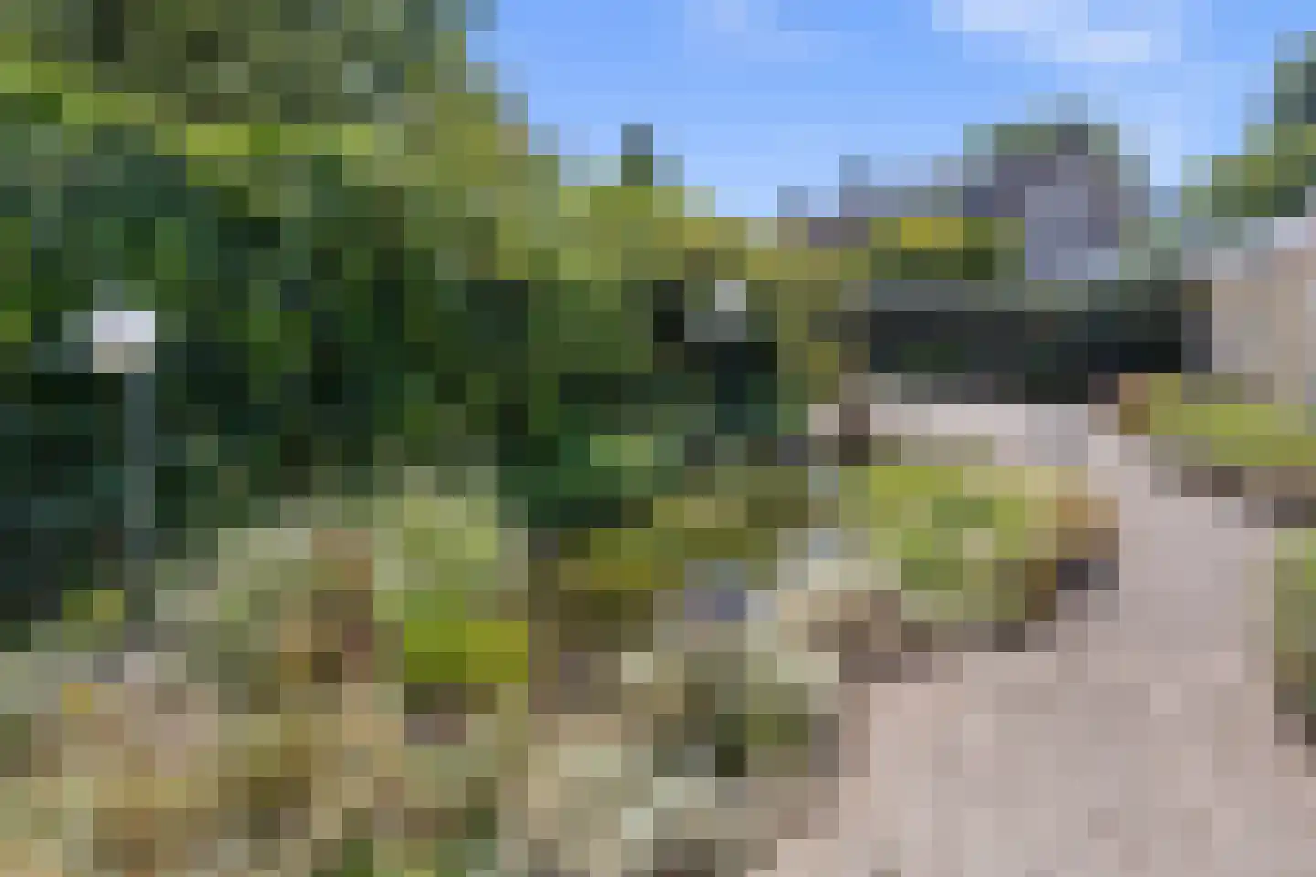 Commissaris Van Voorst tot Voorstlaan 10 's-Hertogenbosch thumbnail 41