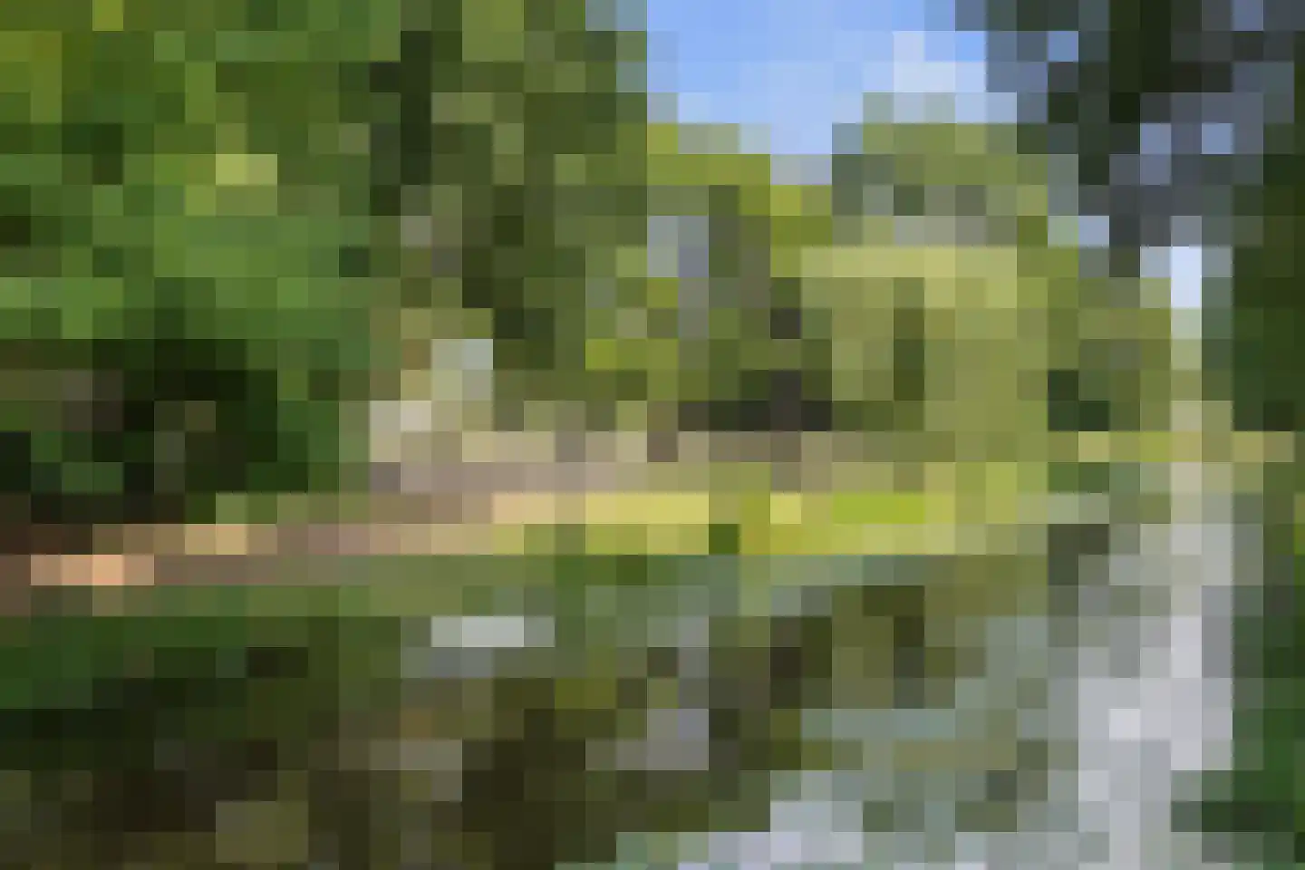 Commissaris Van Voorst tot Voorstlaan 10 's-Hertogenbosch thumbnail 53