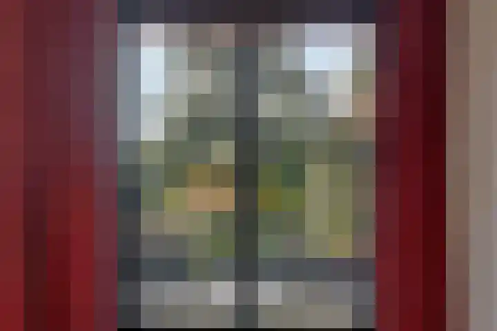 Commissarislaan 102 Zwolle thumbnail 14