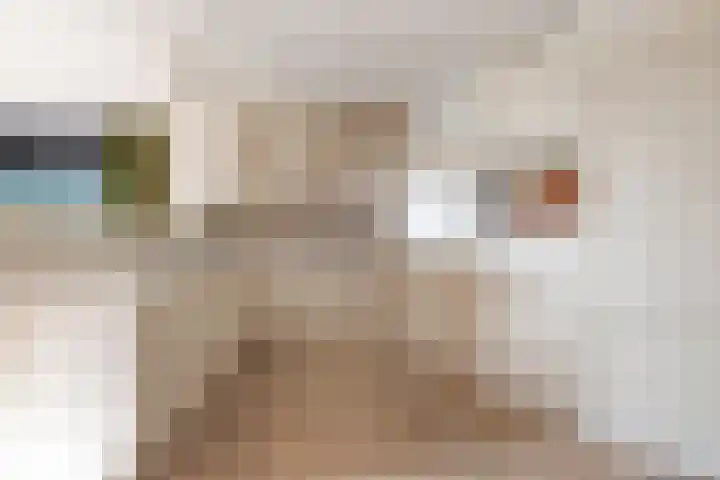 Commissarislaan 102 Zwolle thumbnail 17