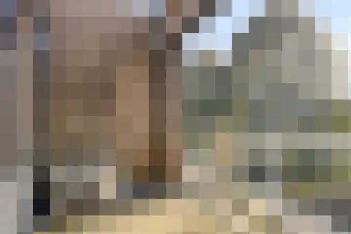 Commissarislaan 102 Zwolle thumbnail 19