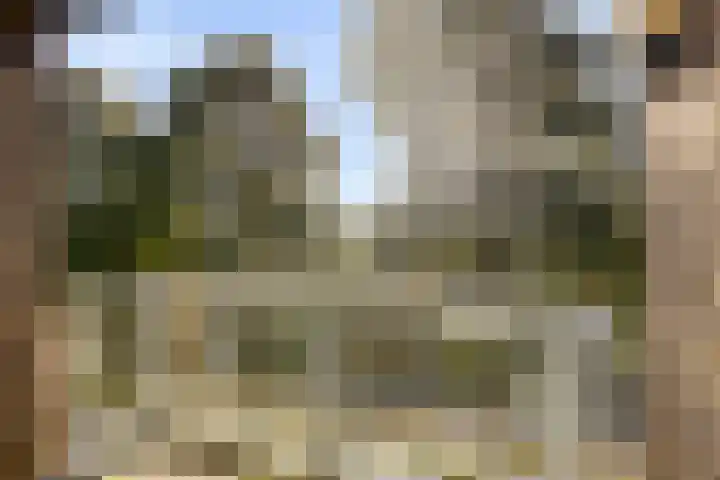 Commissarislaan 102 Zwolle thumbnail 20
