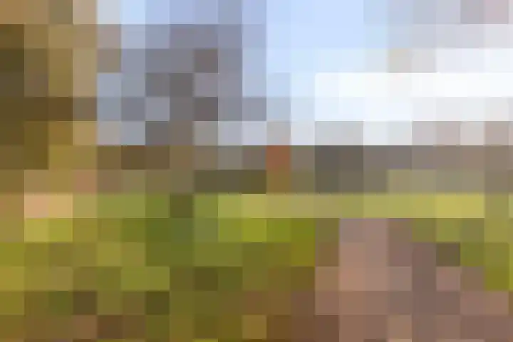 Commissarislaan 102 Zwolle thumbnail 29