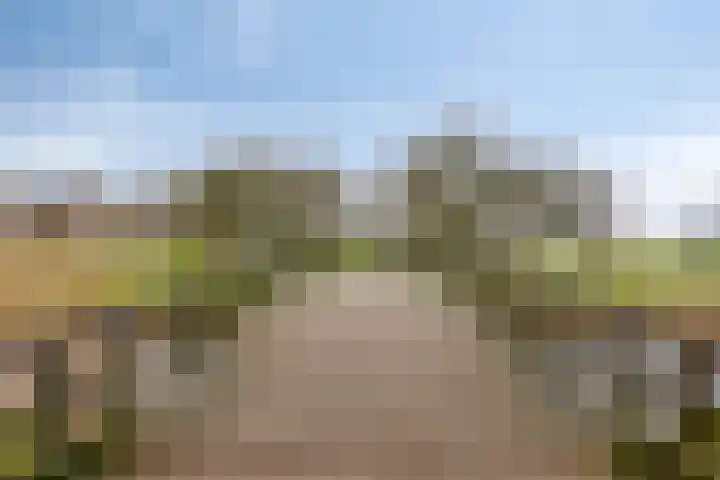Commissarislaan 102 Zwolle thumbnail 30