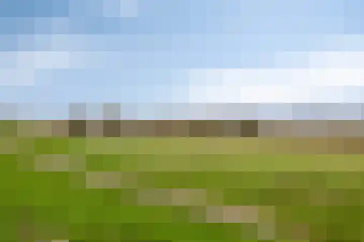 Commissarislaan 102 Zwolle thumbnail 31