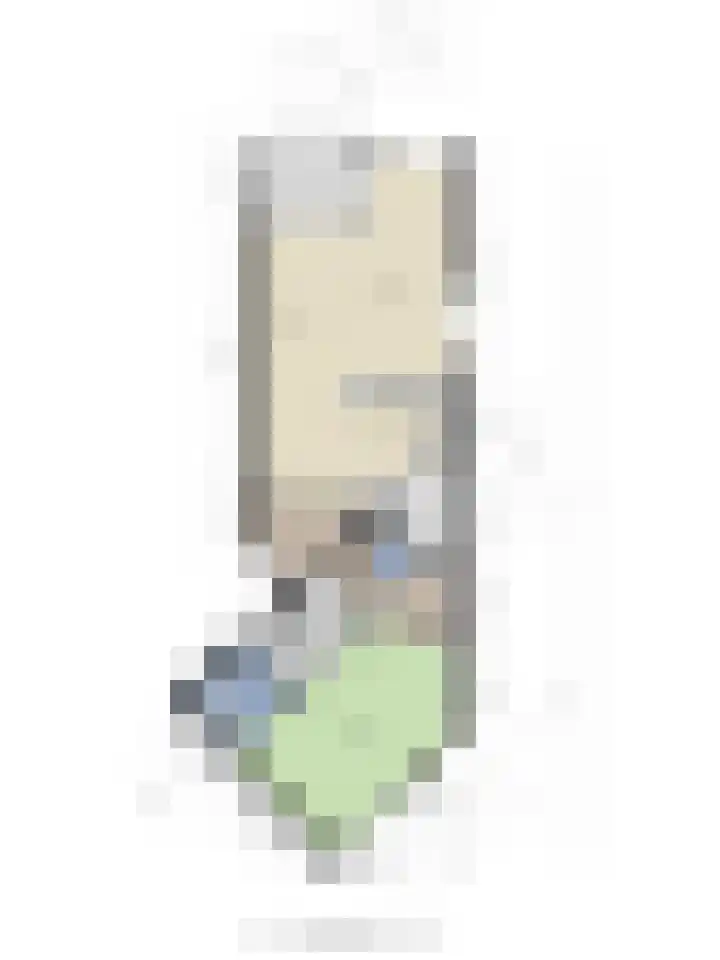 Commissarislaan 102 Zwolle thumbnail 33