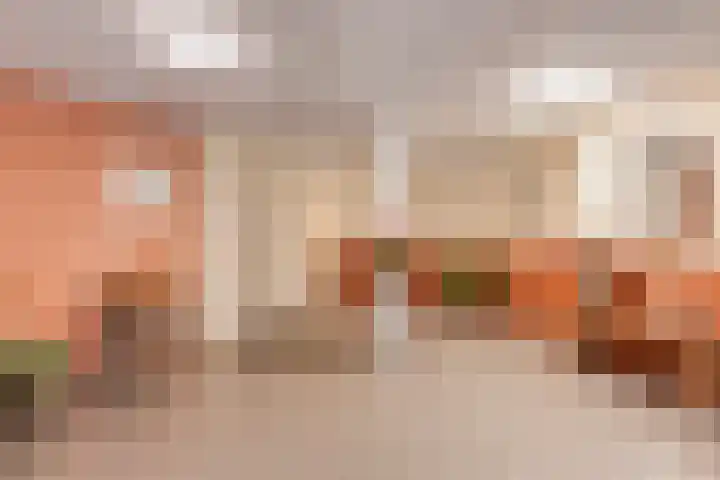 Commissarislaan 102 Zwolle thumbnail 5