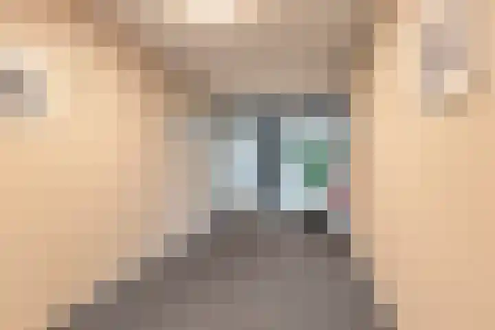Commissarislaan 102 Zwolle thumbnail 7
