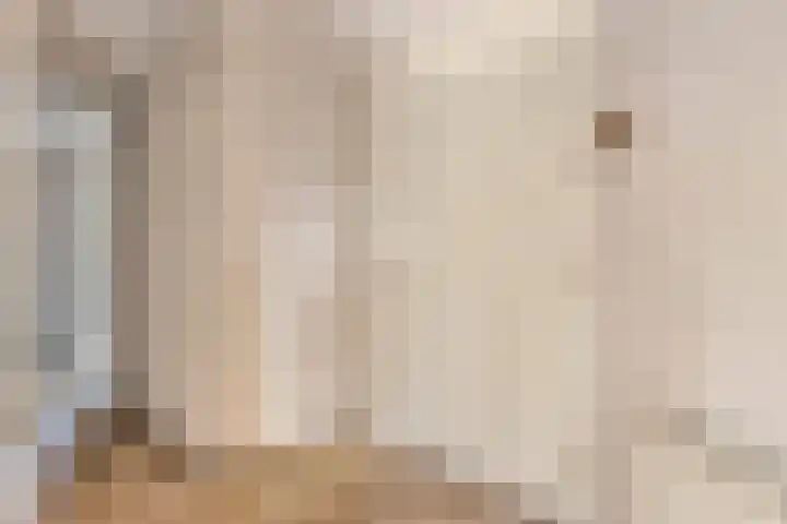 Commissarislaan 102 Zwolle thumbnail 9