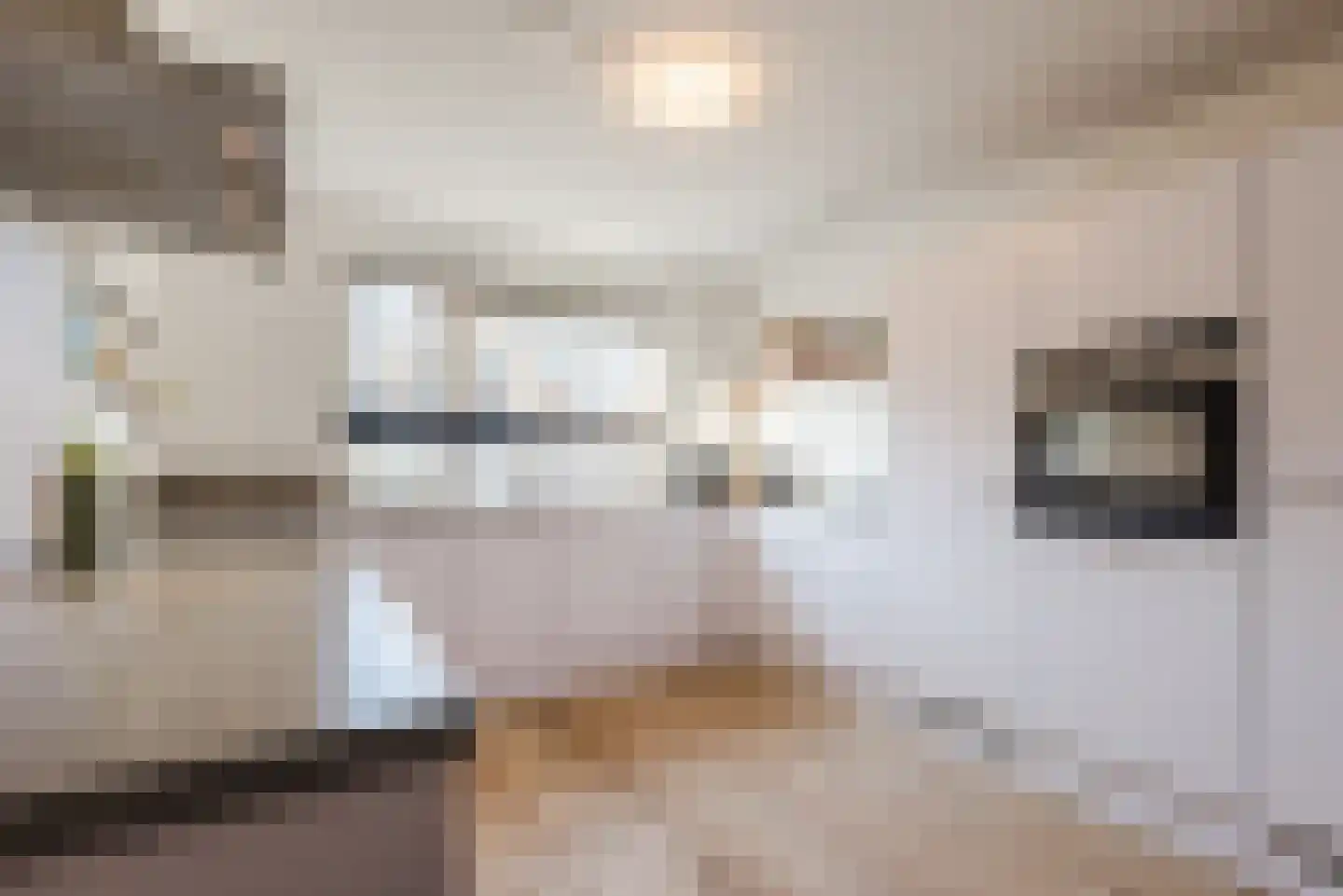Commissarislaan 115 Zwolle thumbnail 14