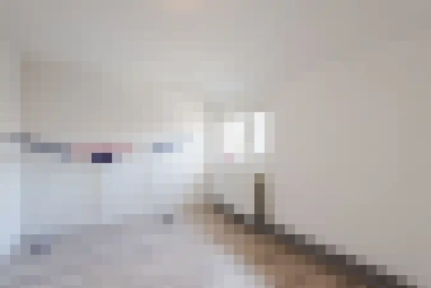 Commissarislaan 115 Zwolle thumbnail 43