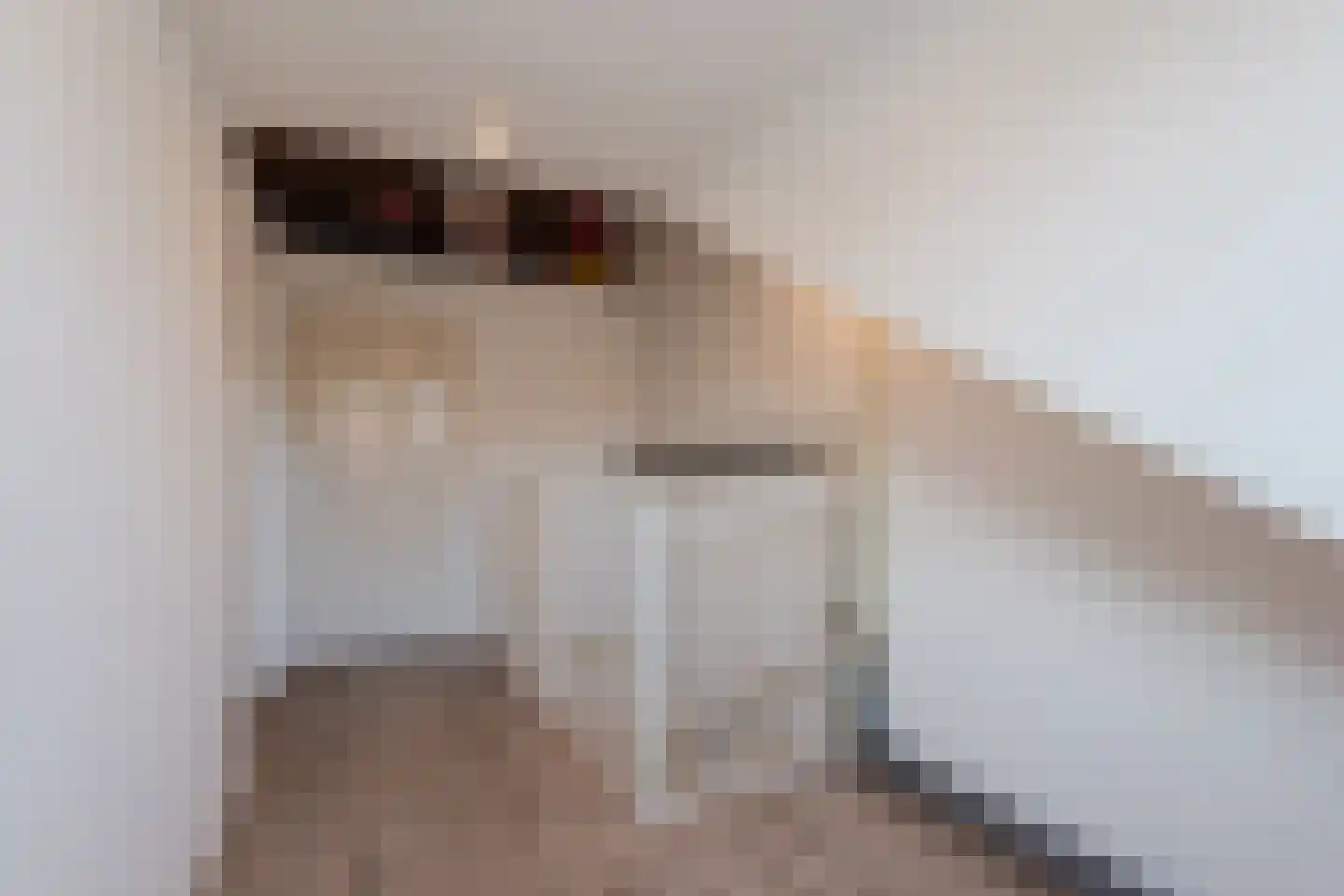 Commissarislaan 115 Zwolle thumbnail 48