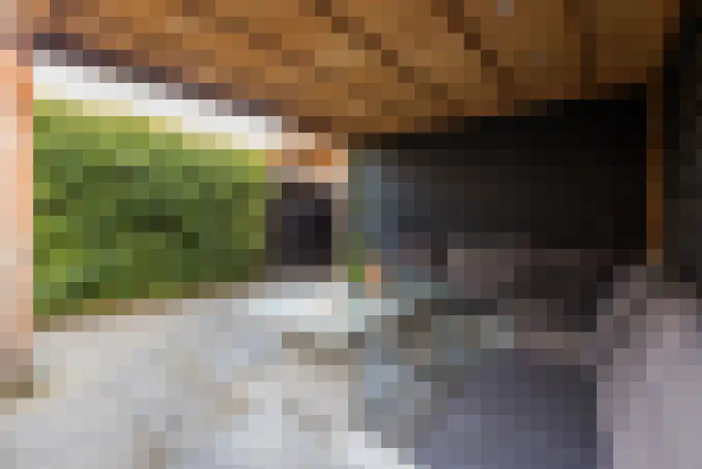 Commissarislaan 115 Zwolle thumbnail 51
