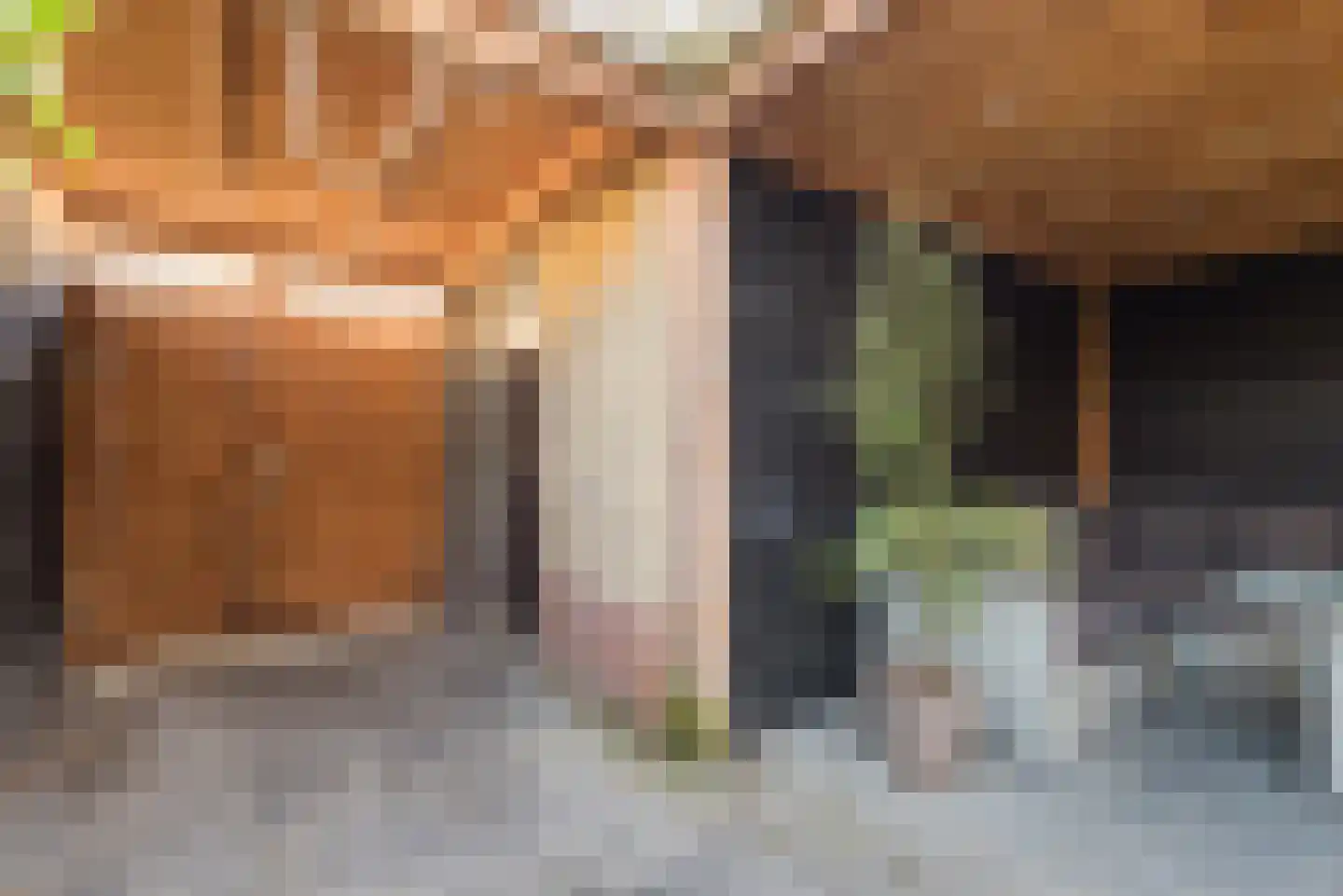 Commissarislaan 115 Zwolle thumbnail 52