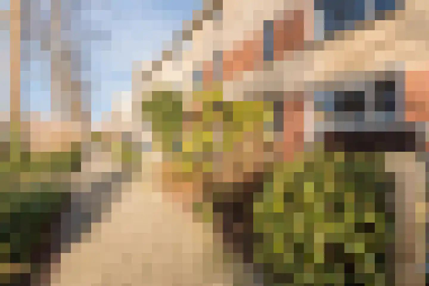 Commissarislaan 115 Zwolle thumbnail 8