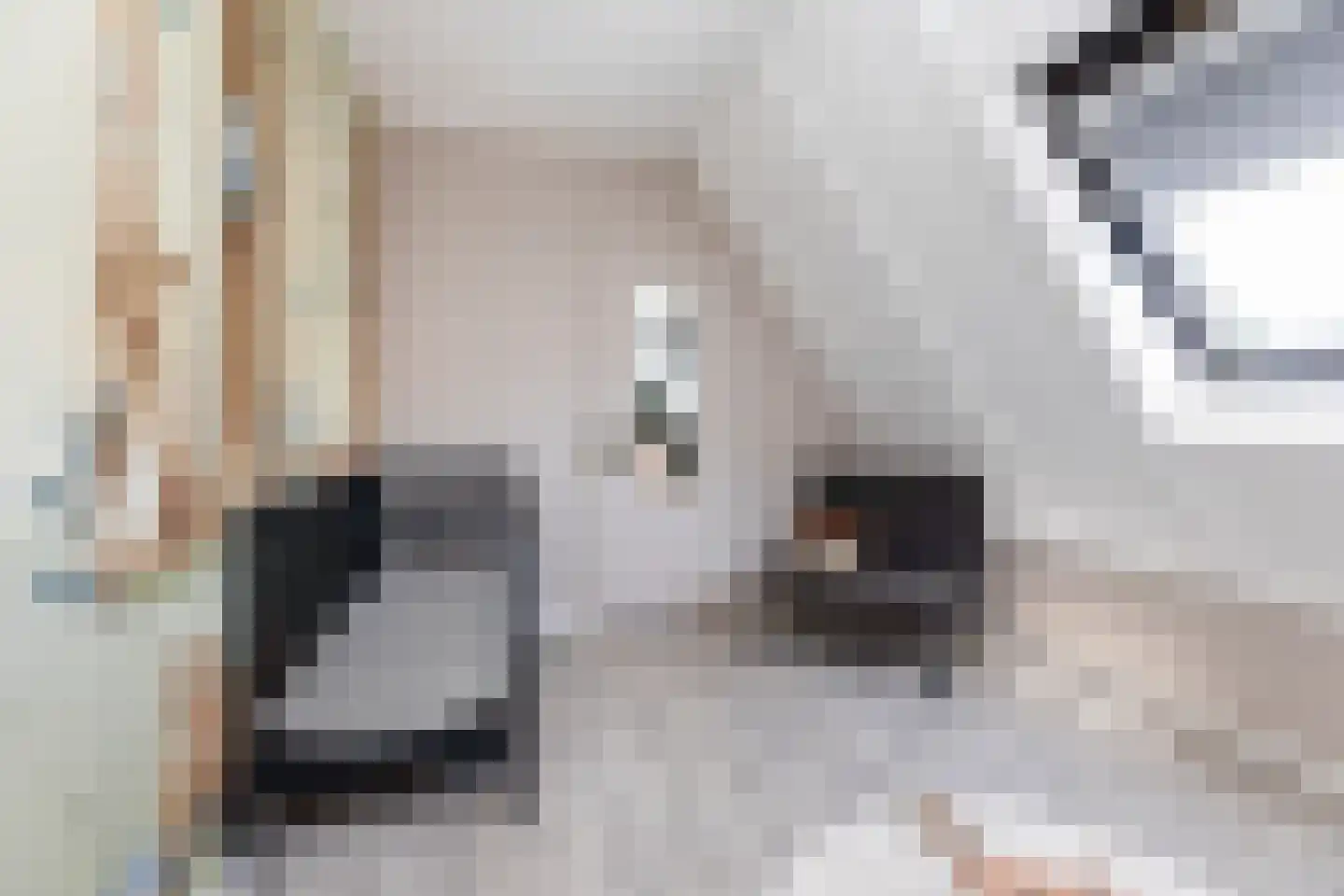 Commissarislaan 17 Zwolle thumbnail 15