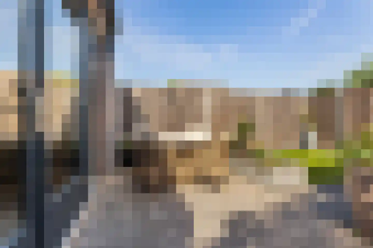 Commissarislaan 17 Zwolle thumbnail 22