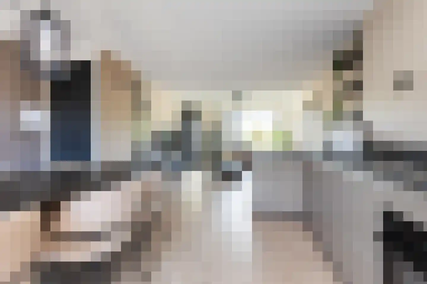 Commissarislaan 17 Zwolle thumbnail 5
