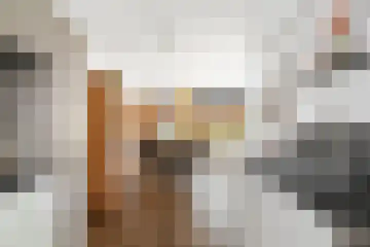 Commissarislaan 60 Zwolle thumbnail 11