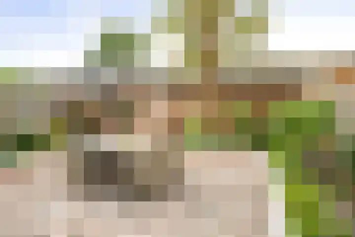 Commissarislaan 60 Zwolle thumbnail 12