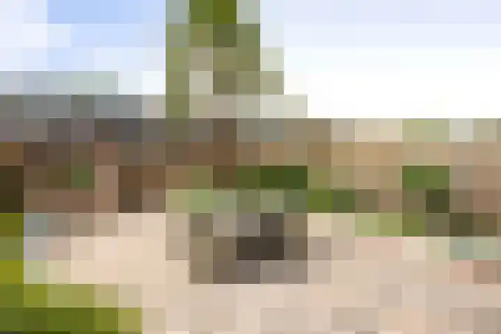 Commissarislaan 60 Zwolle thumbnail 14