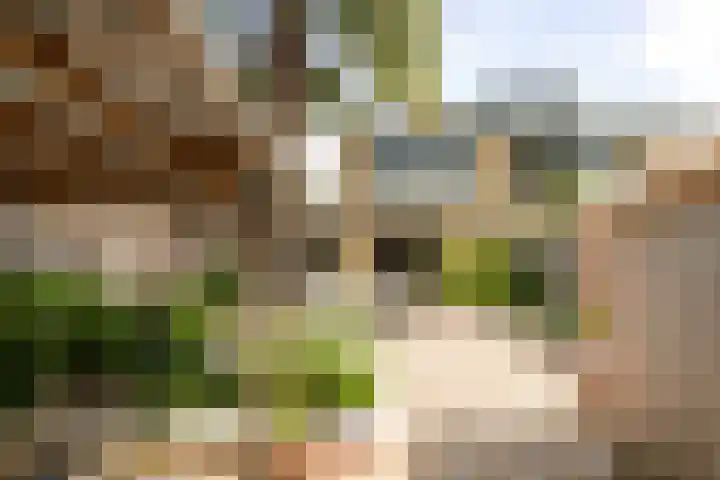 Commissarislaan 60 Zwolle thumbnail 15