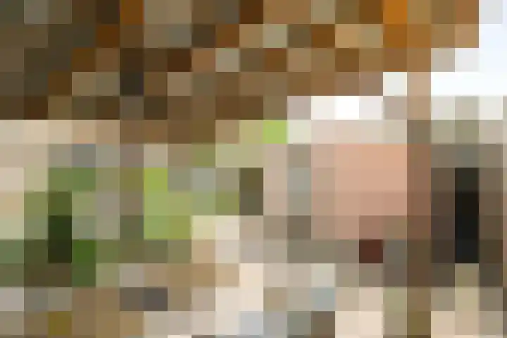 Commissarislaan 60 Zwolle thumbnail 16