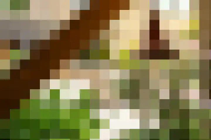 Commissarislaan 60 Zwolle thumbnail 17
