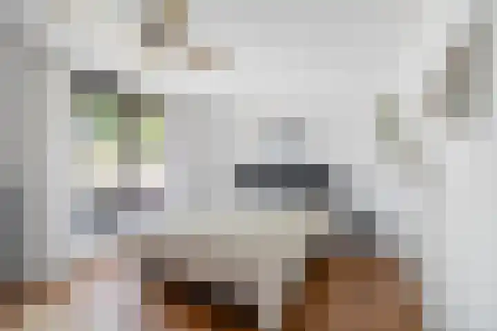 Commissarislaan 60 Zwolle thumbnail 24