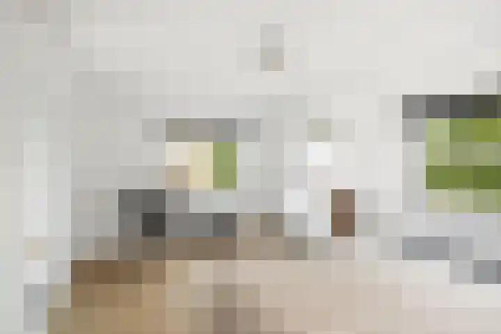 Commissarislaan 60 Zwolle thumbnail 28