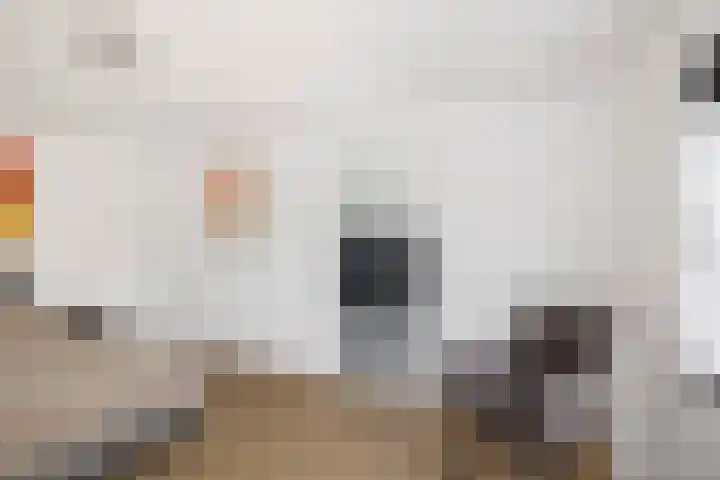 Commissarislaan 60 Zwolle thumbnail 29