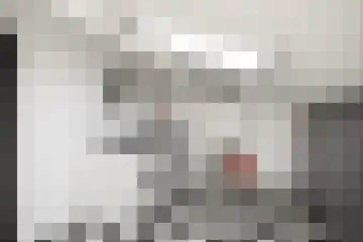 Commissarislaan 60 Zwolle thumbnail 30