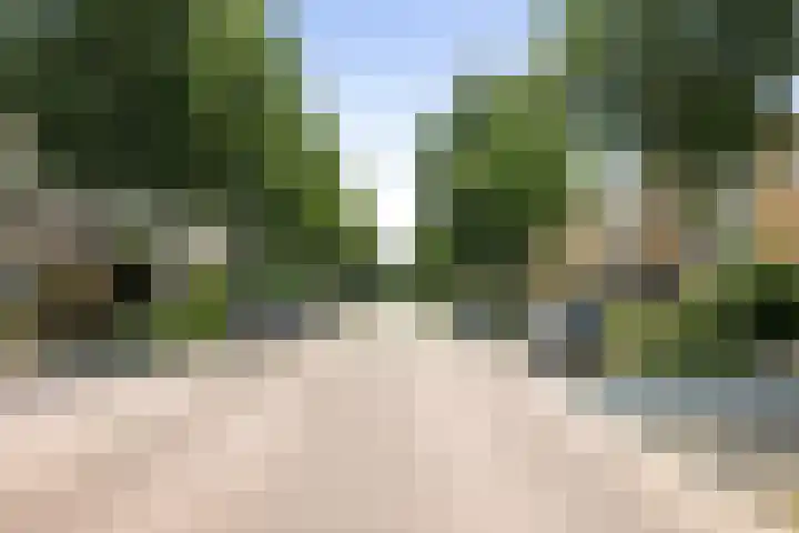 Commissarislaan 60 Zwolle thumbnail 33