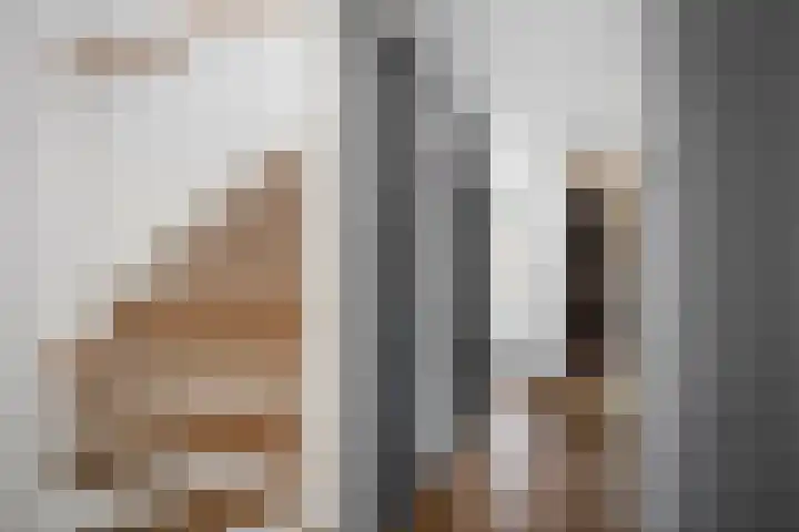 Commissarislaan 60 Zwolle thumbnail 6