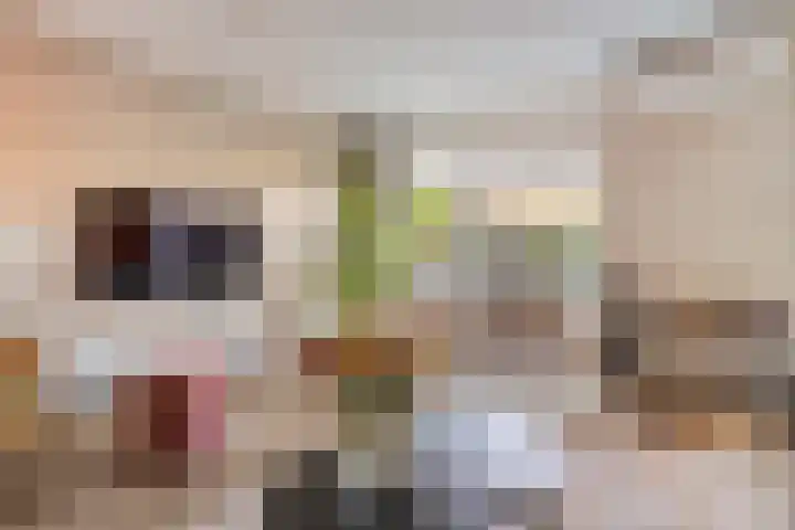 Commissarislaan 62 Zwolle thumbnail 16
