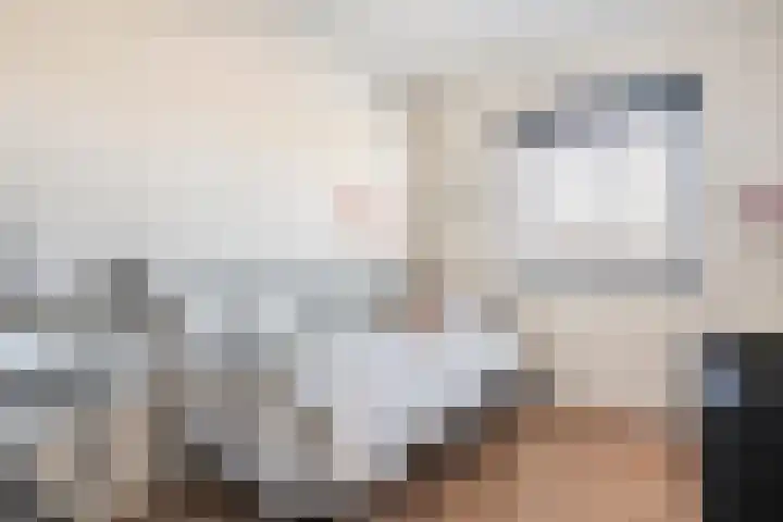 Commissarislaan 62 Zwolle thumbnail 31