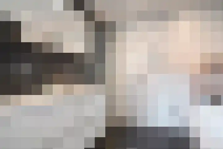 Commissarislaan 62 Zwolle thumbnail 35