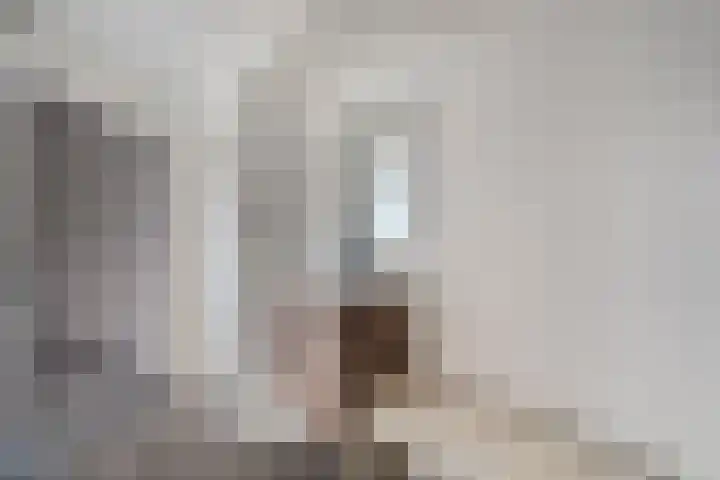 Commissarislaan 62 Zwolle thumbnail 38