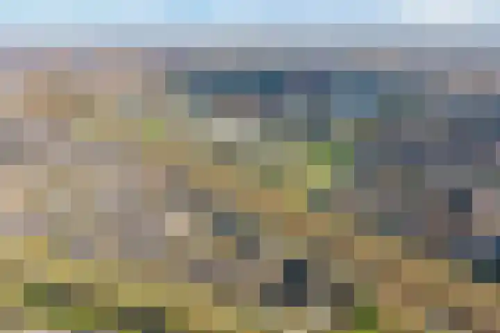 Commissarislaan 62 Zwolle thumbnail 4