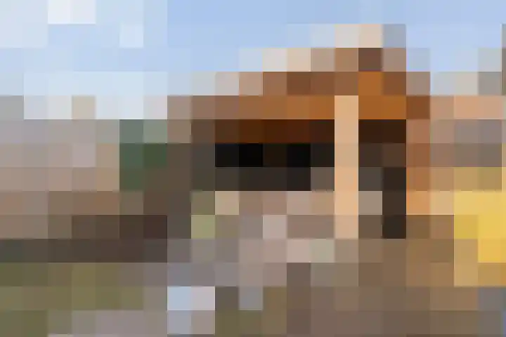 Commissarislaan 62 Zwolle thumbnail 51