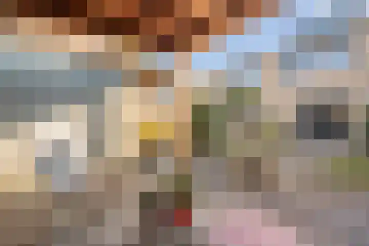 Commissarislaan 62 Zwolle thumbnail 55