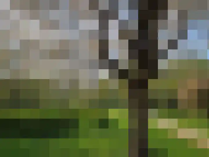 Commissarislaan 62 Zwolle thumbnail 58