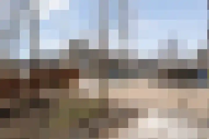 Commissarislaan 62 Zwolle thumbnail 8